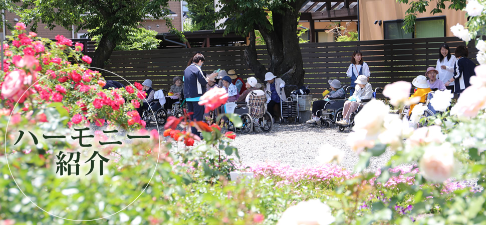 ハーモニー紹介